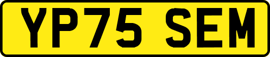 YP75SEM