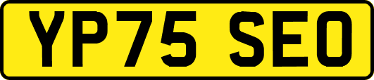 YP75SEO