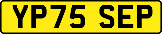 YP75SEP