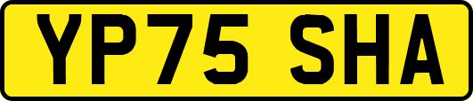 YP75SHA
