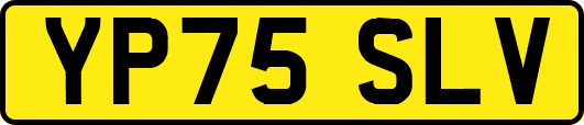 YP75SLV