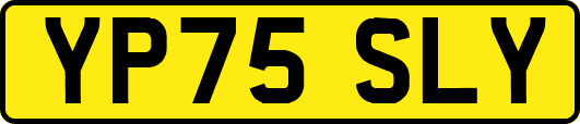YP75SLY