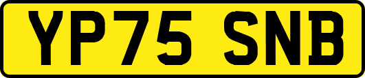 YP75SNB