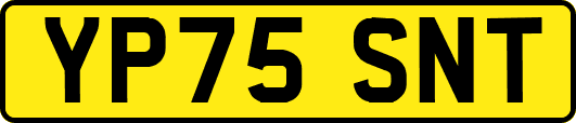 YP75SNT