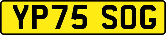 YP75SOG