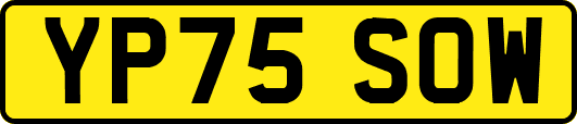 YP75SOW