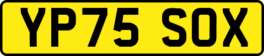 YP75SOX