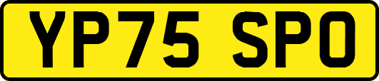 YP75SPO