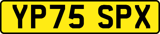 YP75SPX