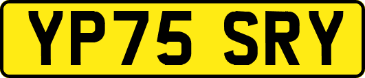 YP75SRY