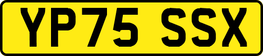 YP75SSX