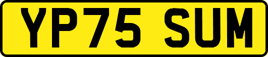 YP75SUM