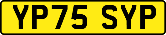 YP75SYP