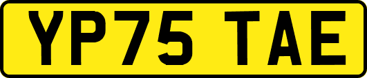 YP75TAE
