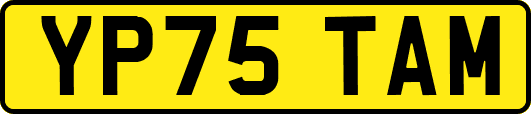 YP75TAM