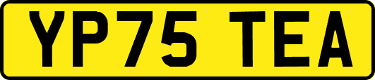 YP75TEA
