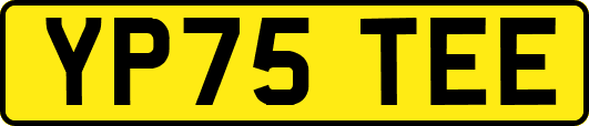 YP75TEE