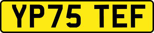 YP75TEF