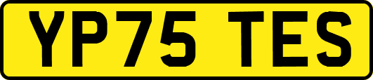 YP75TES