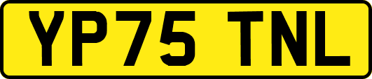 YP75TNL