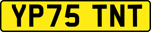 YP75TNT
