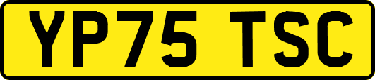 YP75TSC