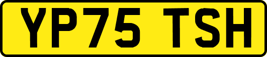 YP75TSH