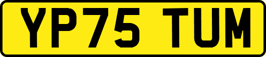 YP75TUM