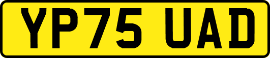 YP75UAD
