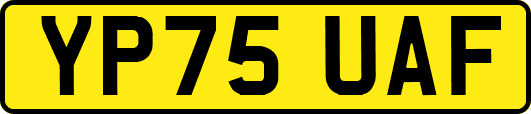 YP75UAF
