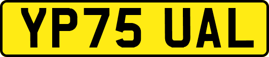 YP75UAL