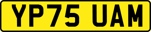 YP75UAM