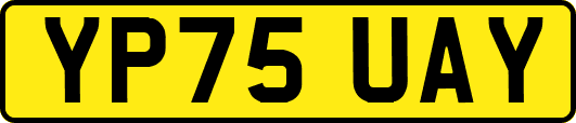 YP75UAY