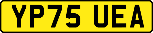 YP75UEA