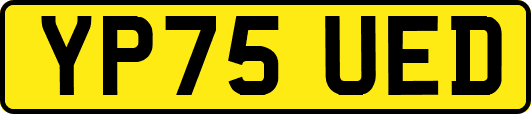 YP75UED