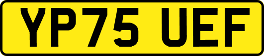 YP75UEF