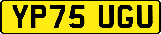 YP75UGU
