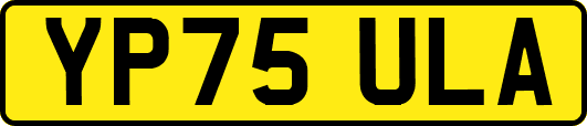 YP75ULA