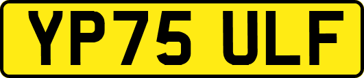 YP75ULF