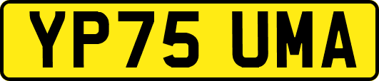 YP75UMA