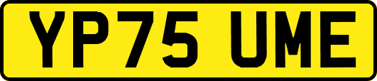 YP75UME