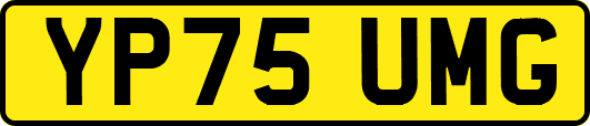 YP75UMG