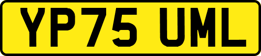 YP75UML