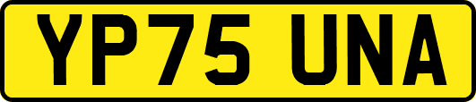 YP75UNA