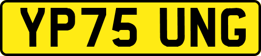 YP75UNG