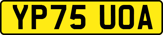 YP75UOA