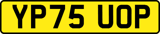 YP75UOP