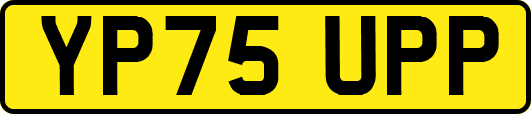 YP75UPP