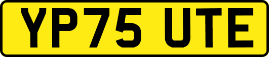 YP75UTE