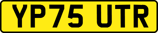 YP75UTR